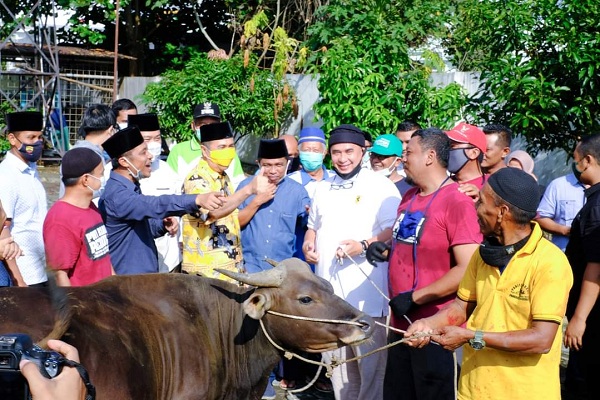 Dihadiri Gubri dan Wawako, PWI Riau Bagikan 220 Bungkus Daging Kurban